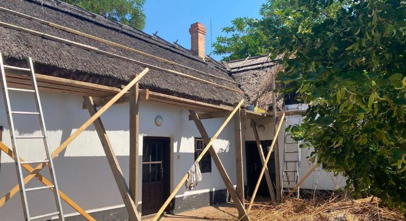 Így őrzik meg Csongrád egyik legkülönlegesebb örökségét a következő évtizedekre