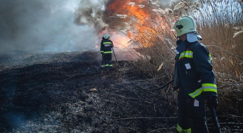 Tomboltak a szabadtéri tüzek, több hektár lett a lángok martaléka Hajdú-Biharban