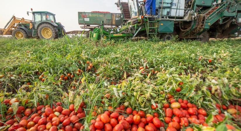 Eurómilliókat fektet a Nestlé a regeneratív gazdálkodásba – Ezért teszi