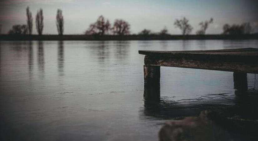 Hemzsegnek a vizek ettől a fura lénytől; sokan nem is sejtik, hogy tele vannak velük Hajdú-Bihar is