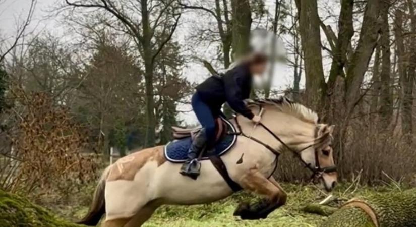 "Kimondhatatlan a fájdalom, az űr" – szívszorító szavakkal búcsúznak barátai a lovasbalesetben meghalt 20 éves Vandától