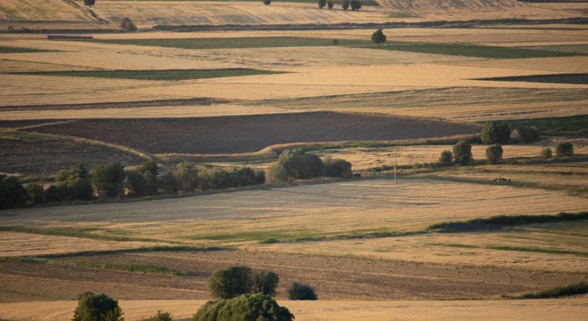 Lassuló felzárkózás, növekvő kockázatok, fordulópont előtt a magyar agrárium