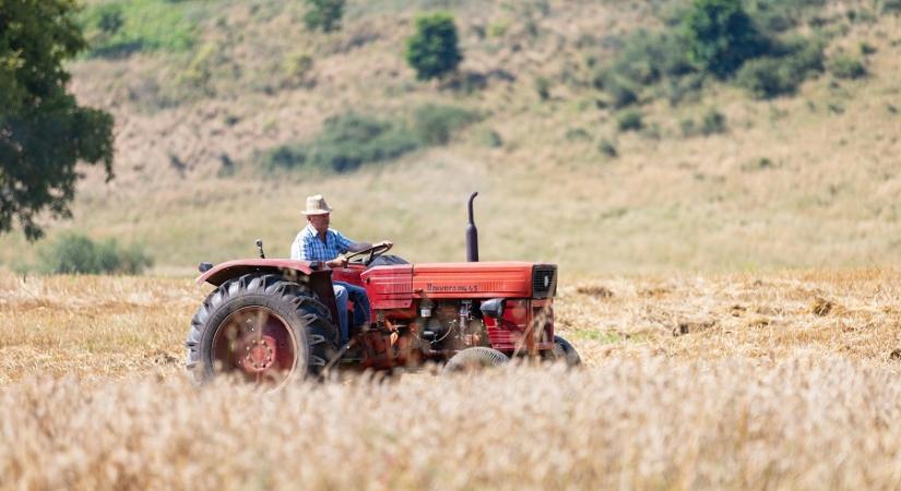 Nőtt a mezőgazdasági vetésterület Romániában