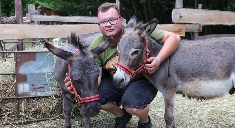 Ott vagyunk már? Két éves lett a himodi szamárfarm