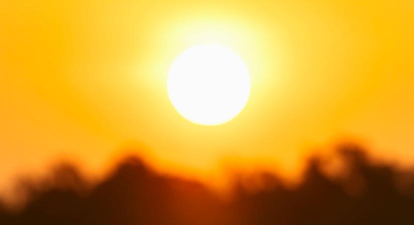 Milyen gazdálkodási gyakorlatok segítenek a hőstressz kivédésében?