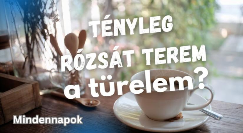 Tudjuk, merjük, tesszük