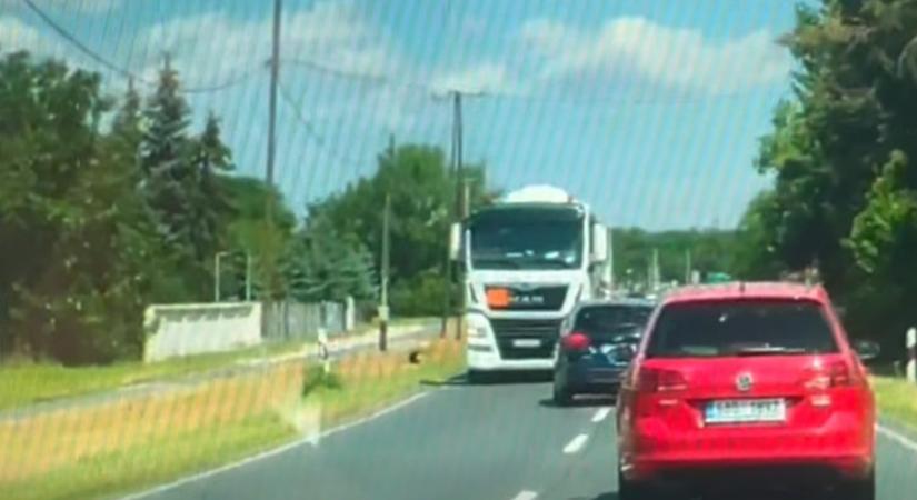 Pillanatokon múlott a tragédia: kamion elé sodródott egy Ford