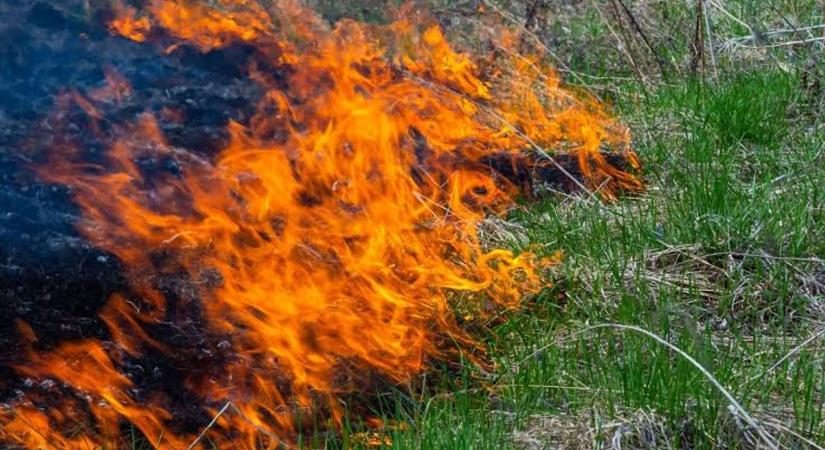 Felcsaptak a lángok – A 32-es főút mellett dolgoznak tűzoltők