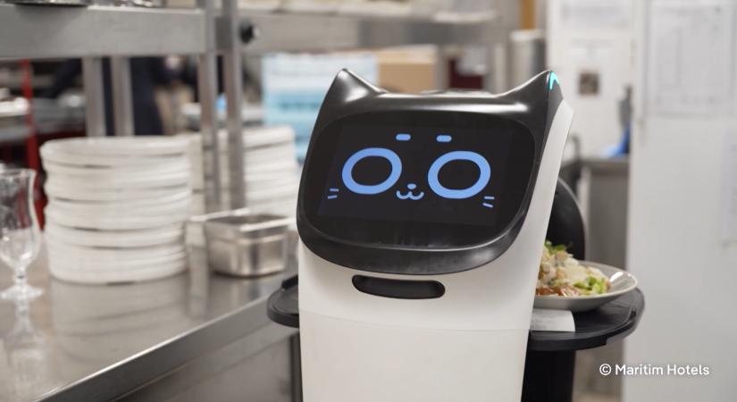 A szállodák portásai és az éttermek pincérei is robotok lesznek?