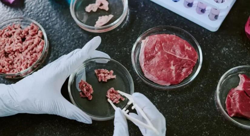A laboratóriumban előállított hús betiltásáról vitázik a parlament