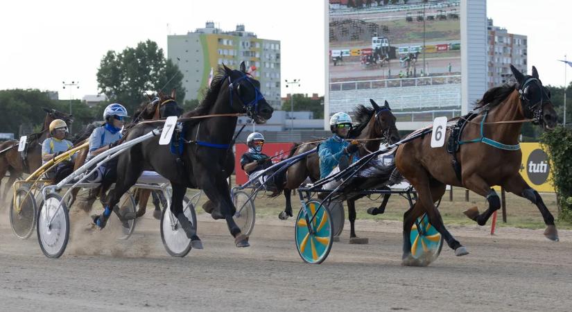 Neptune Des Clos nyerte meg 104. Magyar Galopp Derbyt