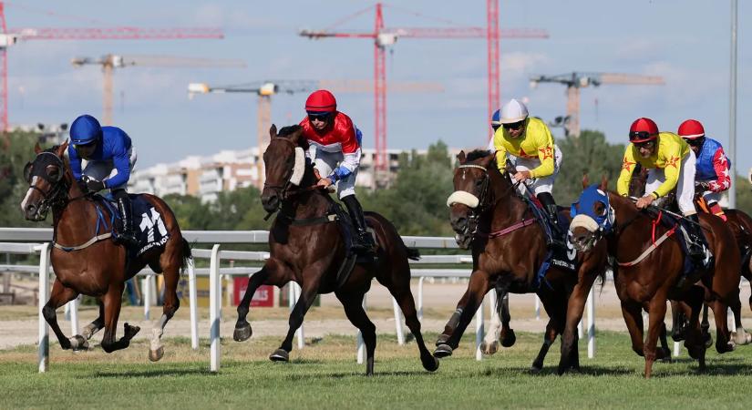 Neptune Des Clos nyerte meg a 104. Magyar Galopp Derbyt