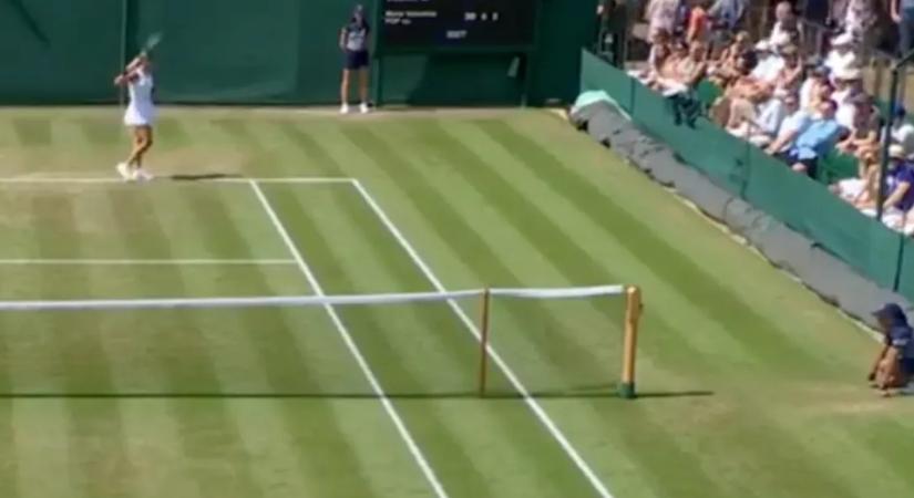 Úgy földhözvágta dühében az ütőjét Wimbledonban, hogy az a nézők közé repült