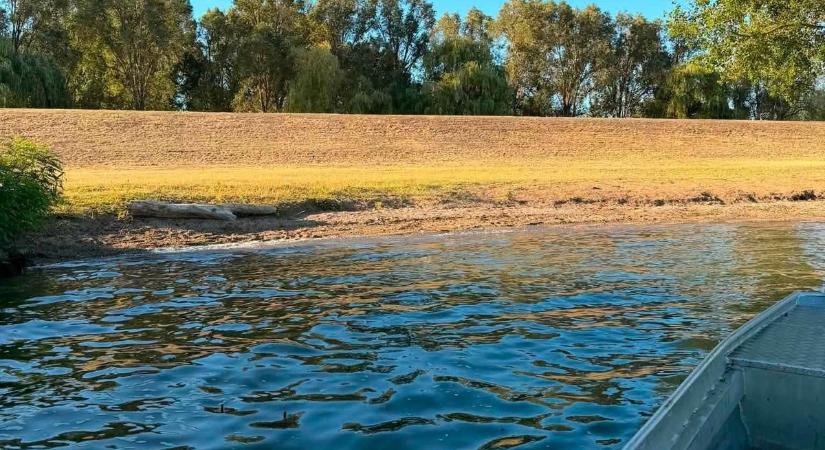 Dögök lebegtek a Tisza-tó vizén, azonnal csónakba ugrottak a strand munkatársai
