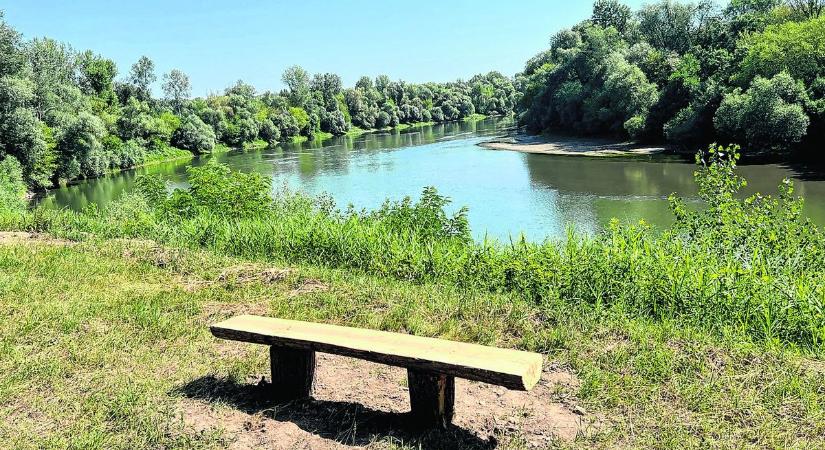 Tivadar újdonságai: könyvek és pihenőhelyek gazdagítják a Tisza-partot