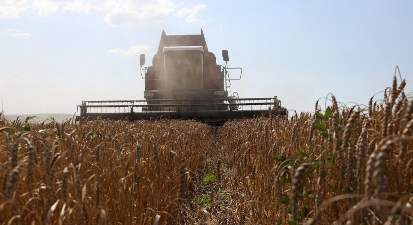 Megölhetik a magyar agrárexportot az akkugyárak – súlyos veszélyekre figyelmeztetnek a termelők