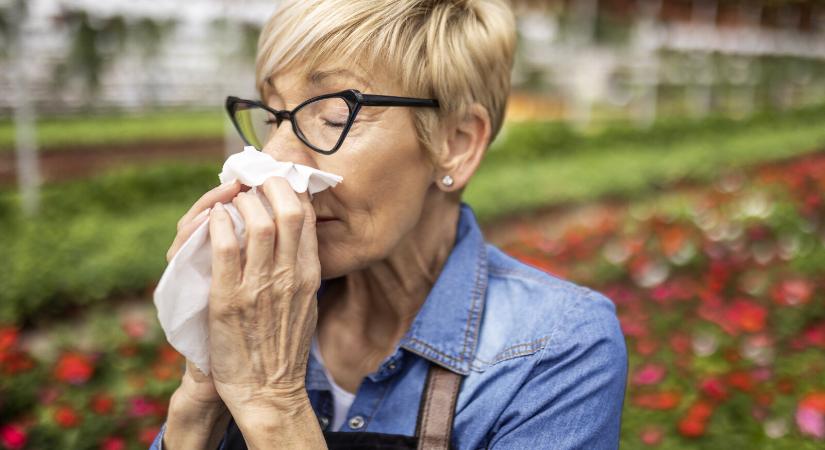 11 gyógyszermentes megoldás nyári allergiára – Gyorsan enyhítik a kínzó tüneteket