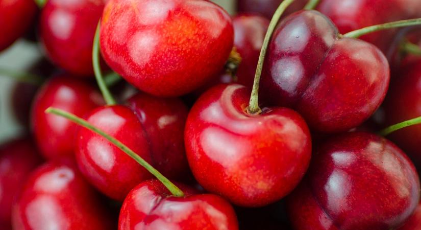 Kikotyogta anyósom a féltve őrzött titkát! Ezek a jelek elárulhatják, kukacos-e a cseresznye