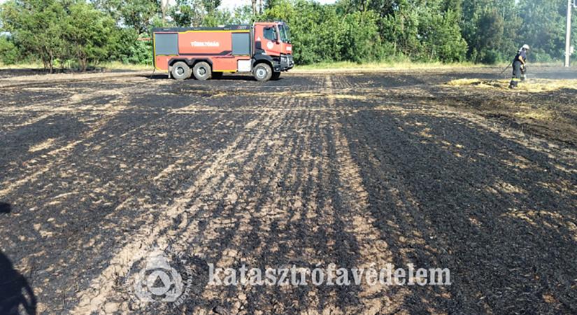 Több hektáron pusztítottak a lángok a hétvégén Békésben
