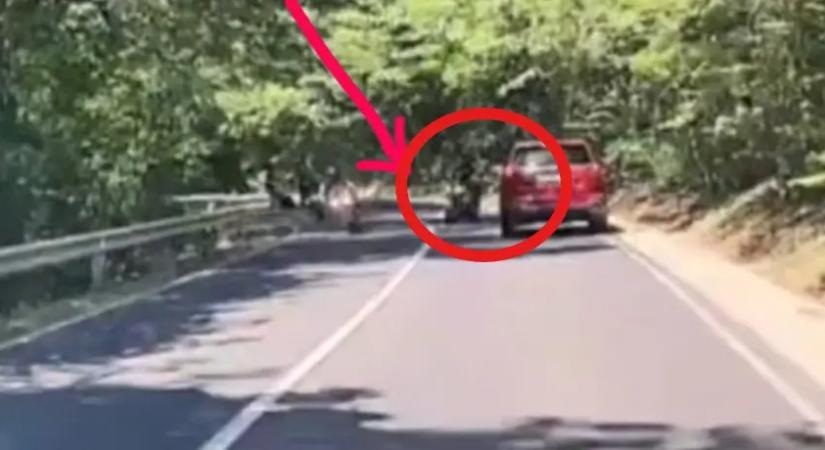 Videó: csúnyán elmérte a kanyart a motoros, szemből pedig jött az autó! Ez lett a vége!