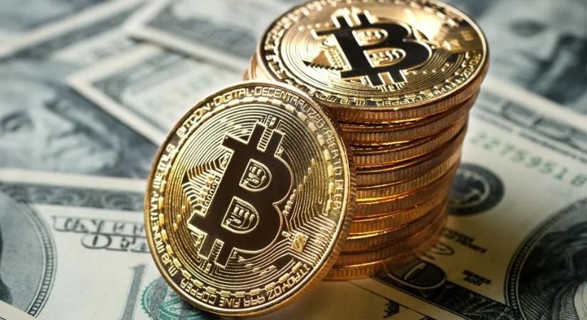 Elfogyott a medvék ereje?