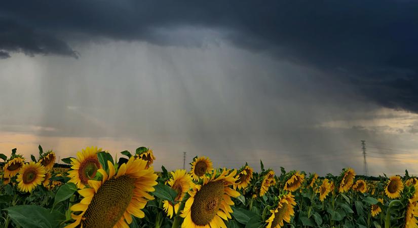 Frontmentesen, de záporosan indul a hét