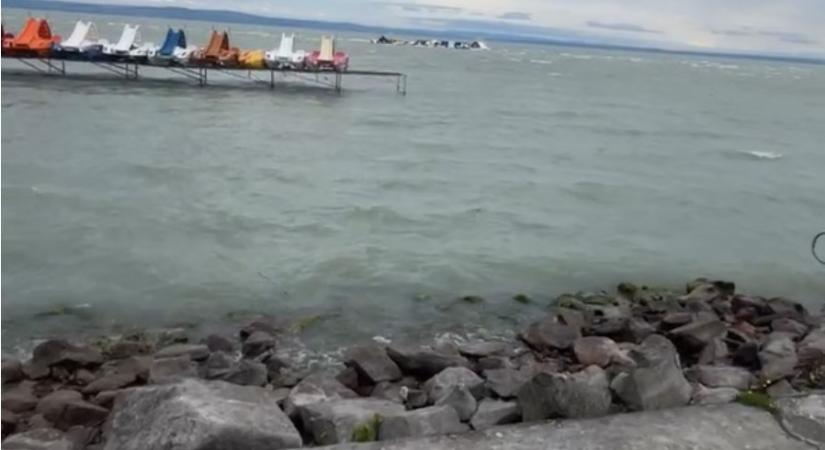 Gyűjtést indítottak a Balatonba veszett Csoki édesanyjának: Rózsa néni egyedül nem tudja eltemettetni fiát