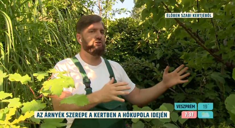 Ha mi sem bírunk megmaradni a kertben, akkor mi lesz a növényeinkkel? – Megyeri Szabolcs segít