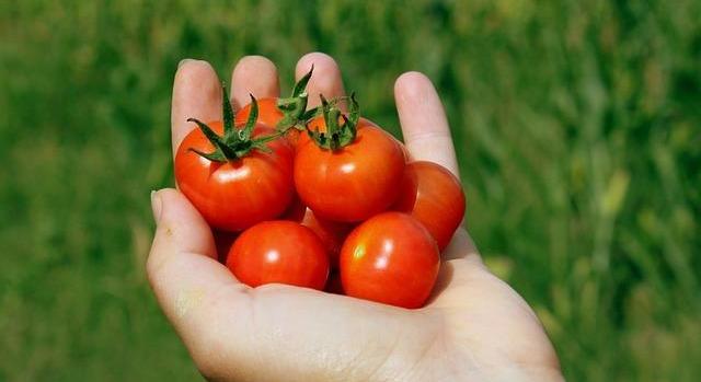 Hőhullám szűkíti a zöldségkínálatot Európában
