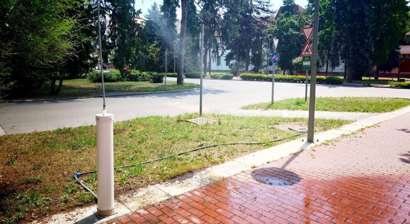 Nem váratlanul éri a hőség Csongrádot, mindenre kész tervük van
