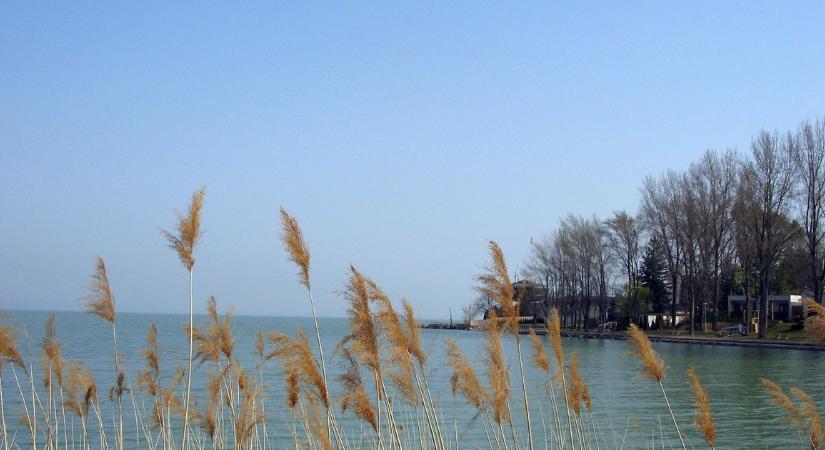 Kisnyugdíjából nem tudja eltemetni a fiát: összefogtak a Balatonban elhunyt Csoki édesanyjáért