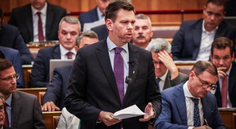 Török Gábor: Ha Magyar Péter kalapács, Vitézy Dávid a csavarhúzó