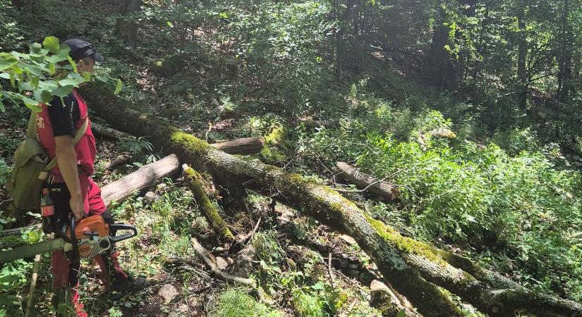 Újra járhatók a Vargyas-szoros turistaösvényei