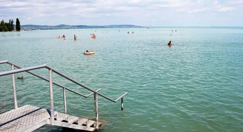 Veszélyes állatot találtak a Balatonban, a szakértők figyelmeztetnek: ne próbáljuk megfogni!