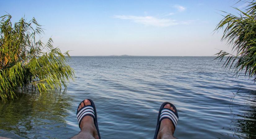 Veszélyes ragadozó jelent meg a Balatonban – Akár egy ujjat is képes leharapni