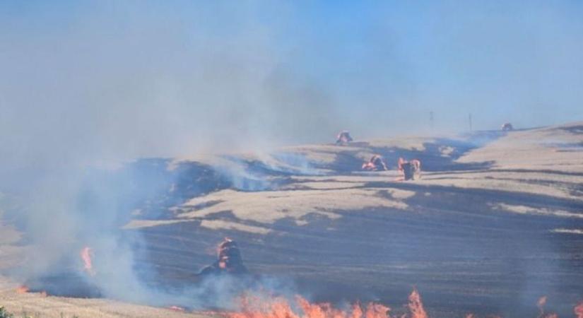 Hatalmas lángok pusztítottak, rengeteg tűzoltó harcolt a tűzzel fotók, videó