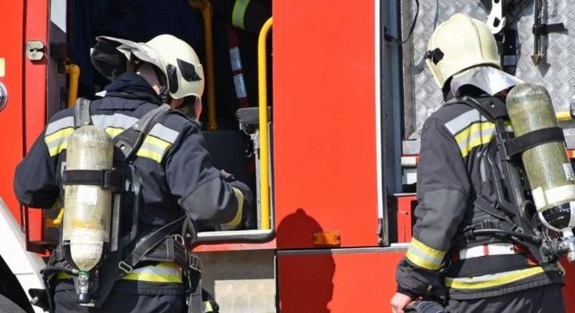 A lángok a lábon álló gabonát és az akácerdő alját is elérték Téten - Nagy erőkkel vonultak a tűzoltók