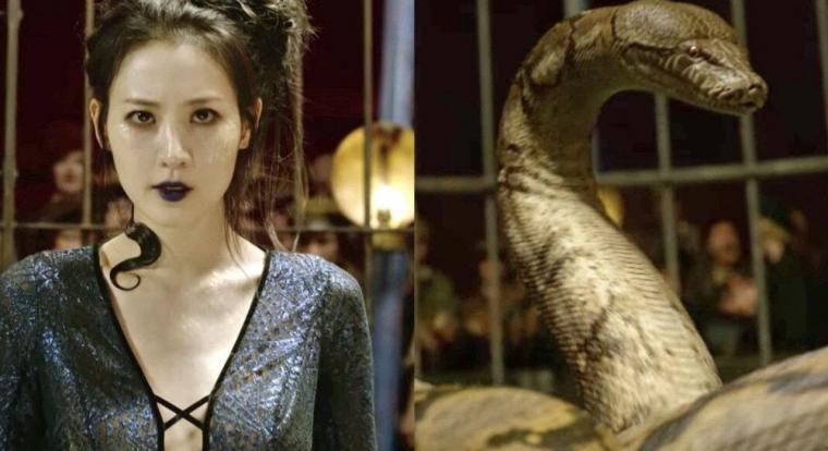 Nagini sokkal több volt Voldemort rémisztő kígyójánál