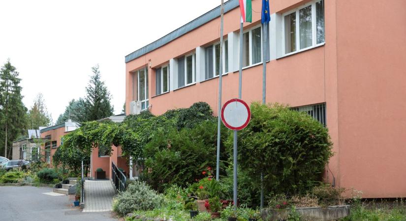 Lökte, megfenyegette, majd le is fejelte nevelőjét – vádat emeltek a fiatalkorú ellen