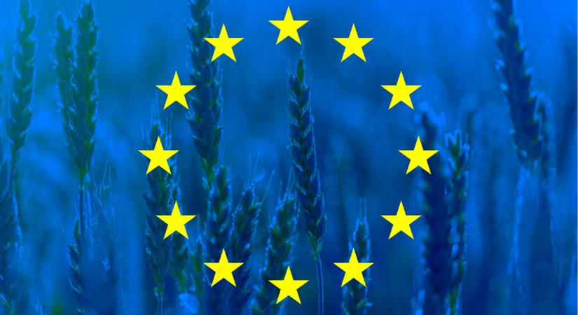 Fontos jelentést tett közzé az Európai Bizottság: durva év várhat a gazdákra