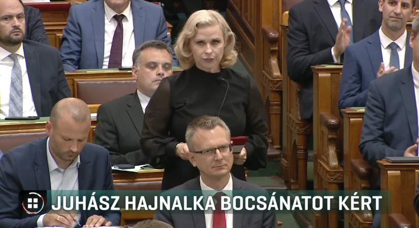 Elsőként kért bocsánatot egy volt kormánypárti politikus a gyermekvédelmi botrányok miatt
