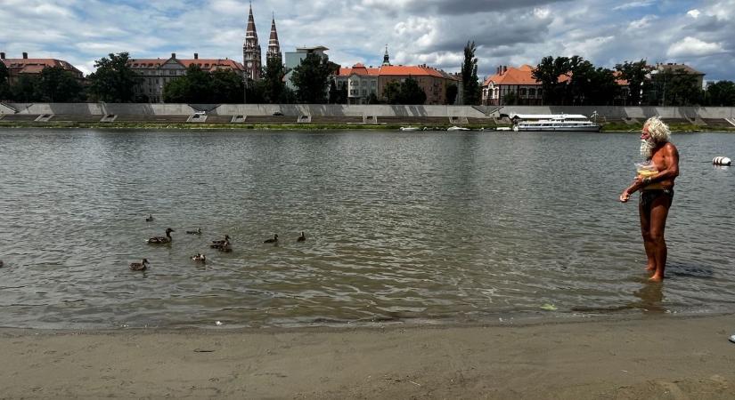 Két órát alszik, éjjel lekvárt főz – a Lapos Beach homokművészének hihetetlen története  videó