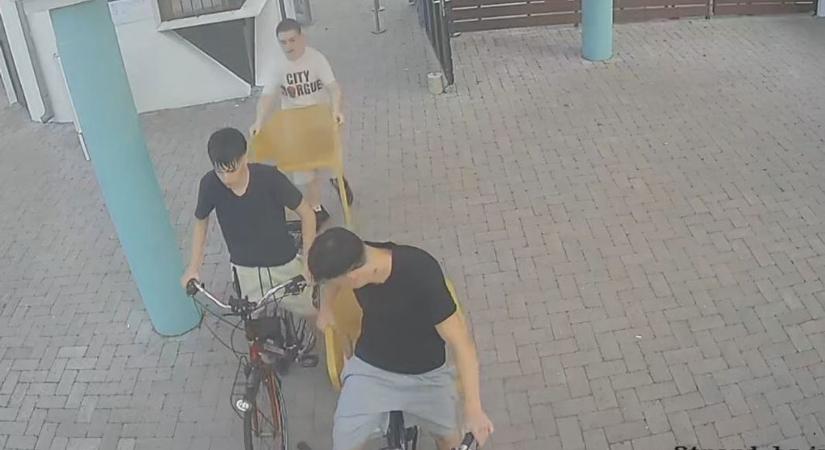Egyelőre bottal ütik a galád balatoni széklopók nyomát - segítsünk a rendőröknek!
