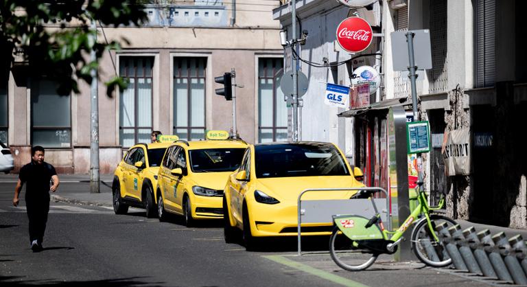 Magyar Péter szerint a Fidesz és a DK panaszkodik a drága taxi árak miatt, miközben ők szavazták meg