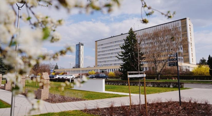 Meghalt egy 30 éves nyíregyházi tanár egy rutin térdműtét után