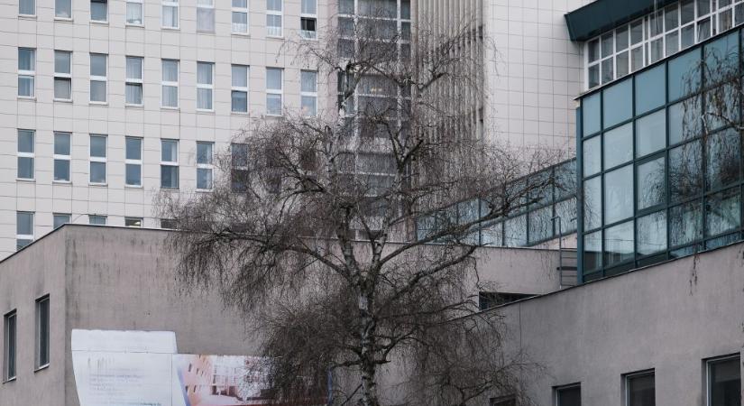 Rutin térdműtét után halt meg egy 30 éves tanár a kisvárdai kórházban