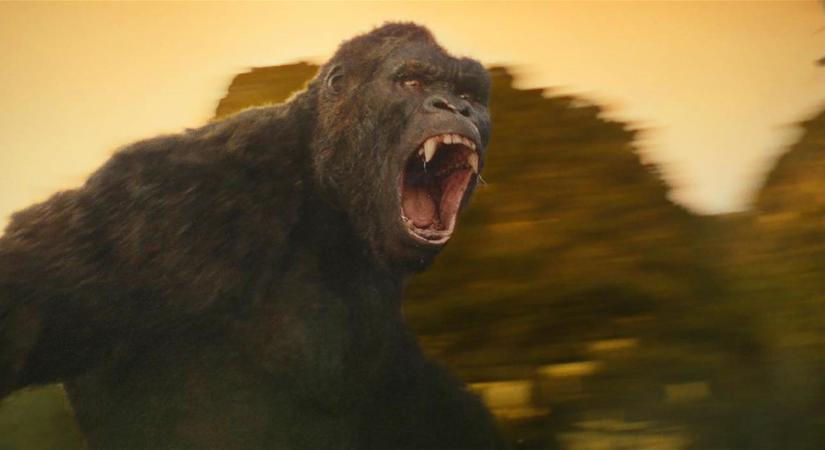 Kong padlót fog a Godzilla Kong ellen új előzetesében
