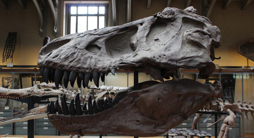 Kiderült, hogyan érkezhetett a dinoszauruszokat kipusztító aszteroida a Földre