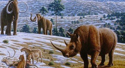 Ősi vírusok után kutatva tanulmányozzák pleisztocén kori állatok maradványait a kutatók Oroszországban