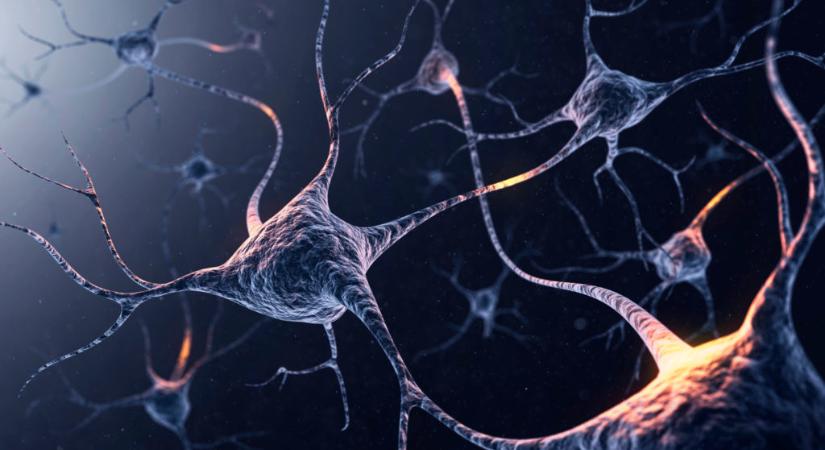 Magyar kutatás segíthet az epilepszia kezelésében